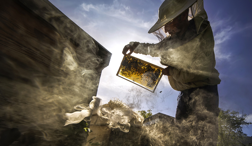 Sakarya’nın tarihi, kültürü ve güzellikleri kadrajlara yansıdı