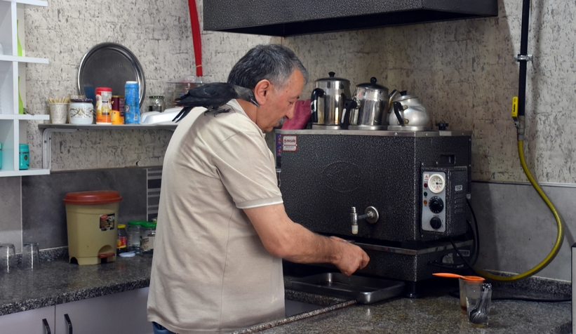 Şakir ismini verdiği kargayla dostluğunu görenler şaşırıyor