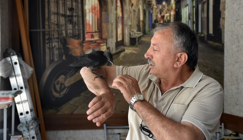 Şakir ismini verdiği kargayla dostluğunu görenler şaşırıyor