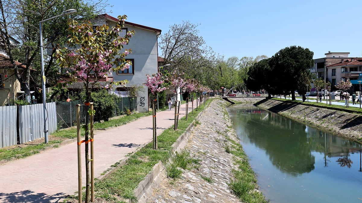 Sakura ağaçları şehri görsel bir şölene dönüştürdü