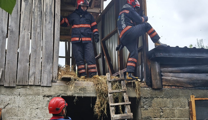 samanlikta-cikan-yangin-korkuttunuppa1lset