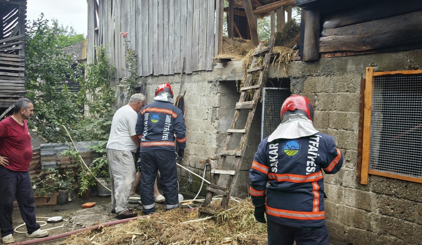 samanlikta-cikan-yangin-korkuttunuppa1lset