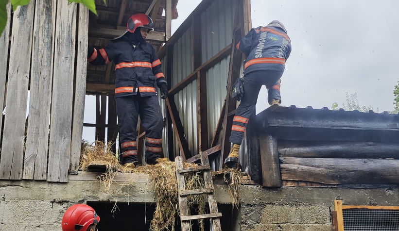 samanlikta-cikan-yangin-korkuttunuppa1lset