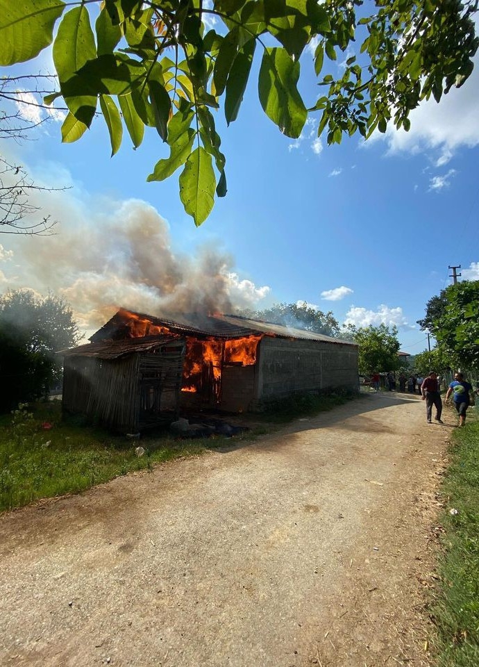 Samanlıkta çıkan yangında bin balya kül oldu