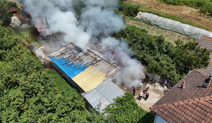 Samanlıkta yangın çıktı: 3 büyükbaş hayvan telef oldu