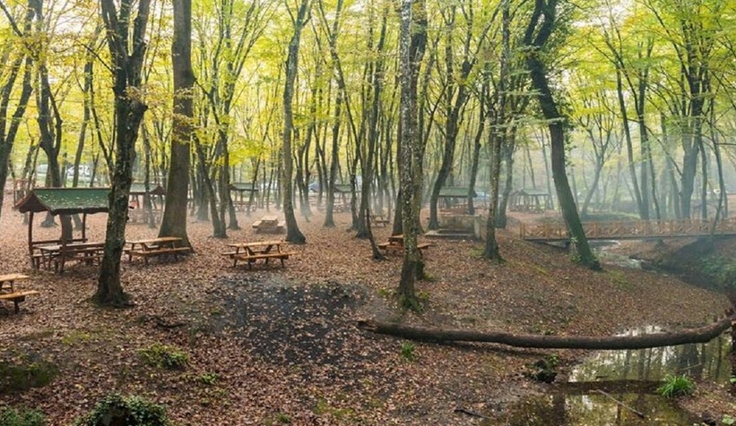 Sapanca'da orman parkı kiraya verilecek