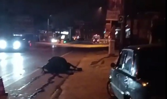 Sapanca'da yola fırlayan inek kazaya neden oldu