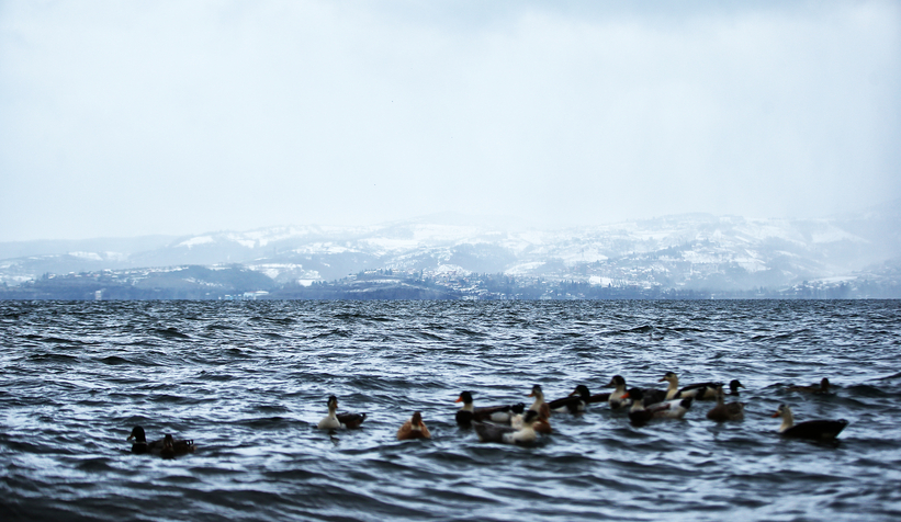  Sapanca Gölü dolmak üzere