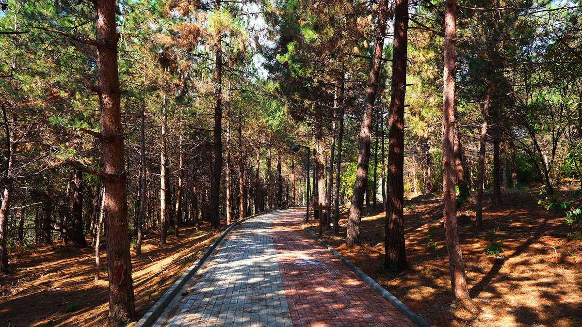 Sapanca Gölü kenarında eşsiz proje kapılarını açtı