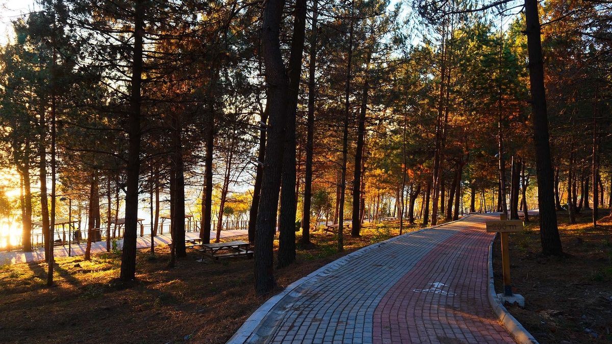 Sapanca Gölü kenarında eşsiz proje kapılarını açtı