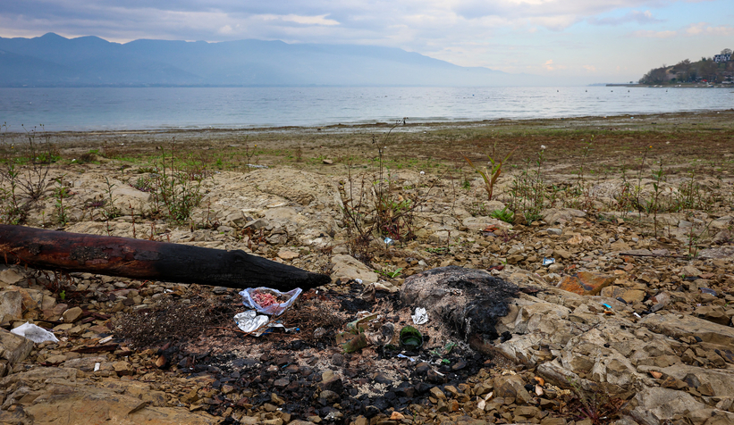 Sapanca Gölü kıyısında temizlik seferberliği