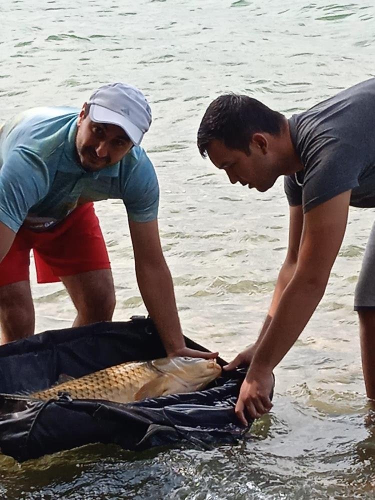 Sapanca Gölü'nde 1 metre boyunda sazan yakalandı