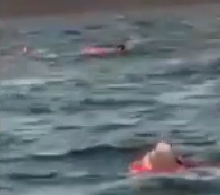 Sapanca Gölü'nde can pazarı; 3 kişi