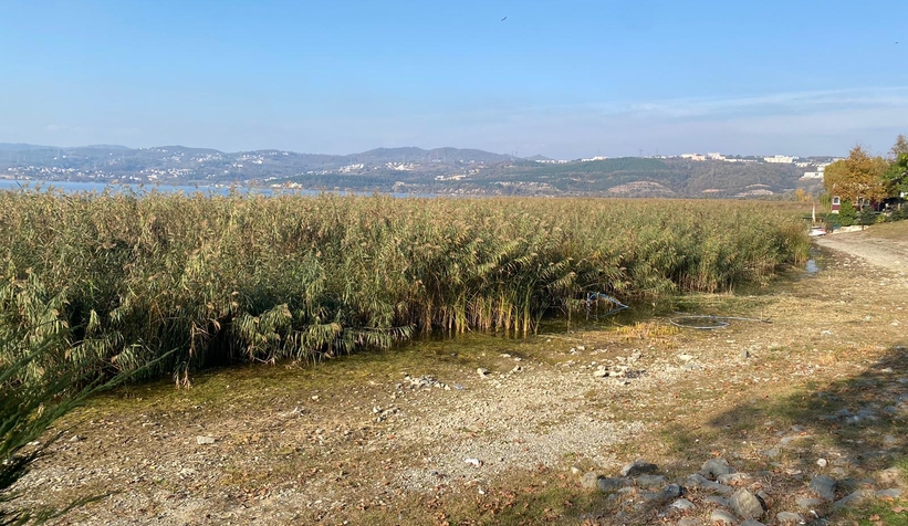 Sapanca Gölü'nde dikkat çeken çekilme