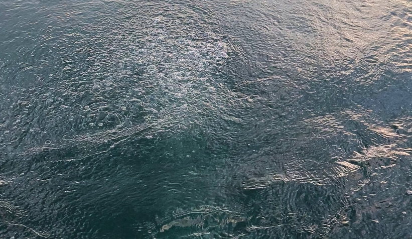 Sapanca Gölü'nde kaydedilen kabarcıklar gizemini koruyor