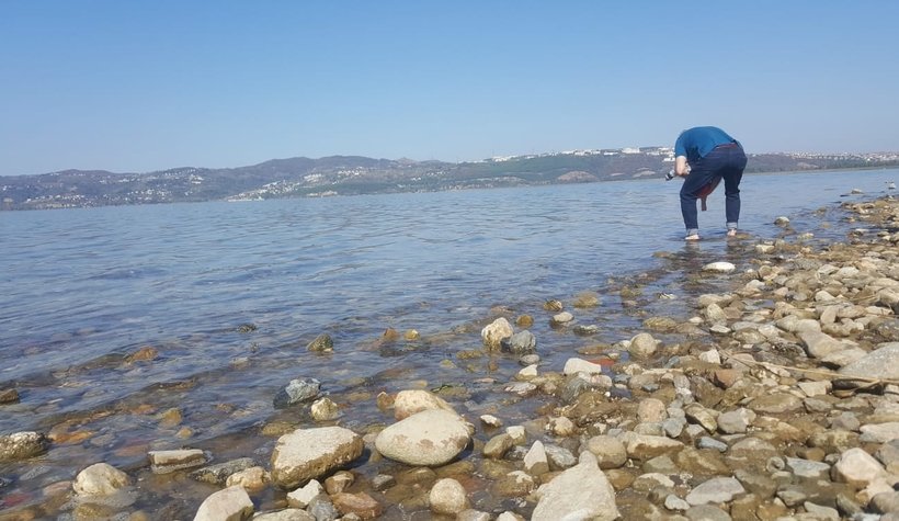 Sapanca Gölü'nde  korkutan gelişme