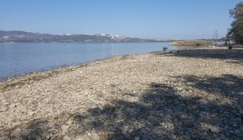 Sapanca Gölü'nde  korkutan gelişme