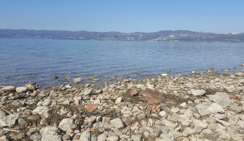 Sapanca Gölü'nde  korkutan gelişme