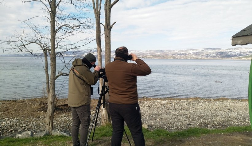 Sapanca Gölü'nde sayım yapıldı; Dikkat çeken kuş türleri