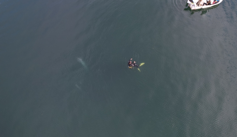 sapanca-golu-ndeki-endiselendiren-kabarciklarin-nedeni-ne-aciklama-geldiy2s0ztfbl3