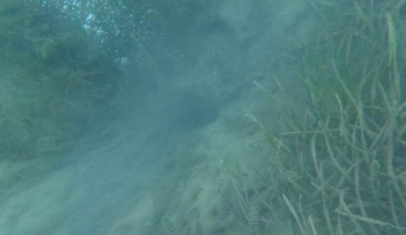 sapanca-golu-ndeki-endiselendiren-kabarciklarin-nedeni-ne-aciklama-geldiy2s0ztfbl3