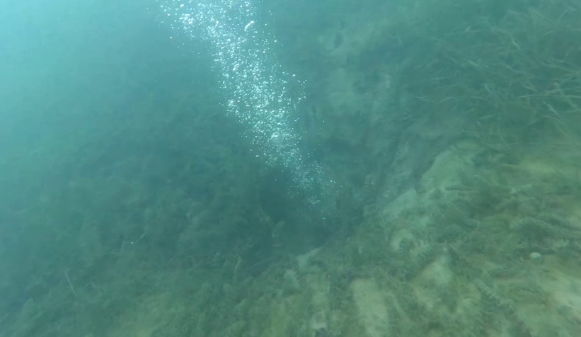 sapanca-golu-ndeki-endiselendiren-kabarciklarin-nedeni-ne-aciklama-geldiy2s0ztfbl3