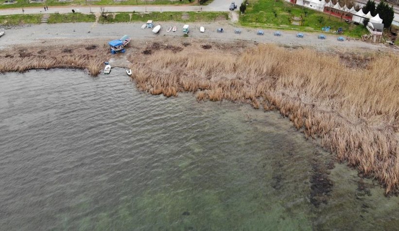 Sapanca Gölü'nden sevindirici haber