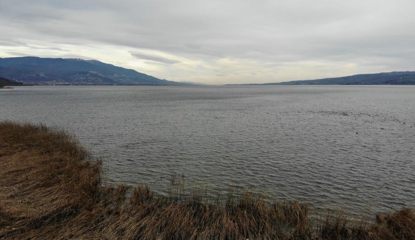 Sapanca Gölü'nden sevindirici haber