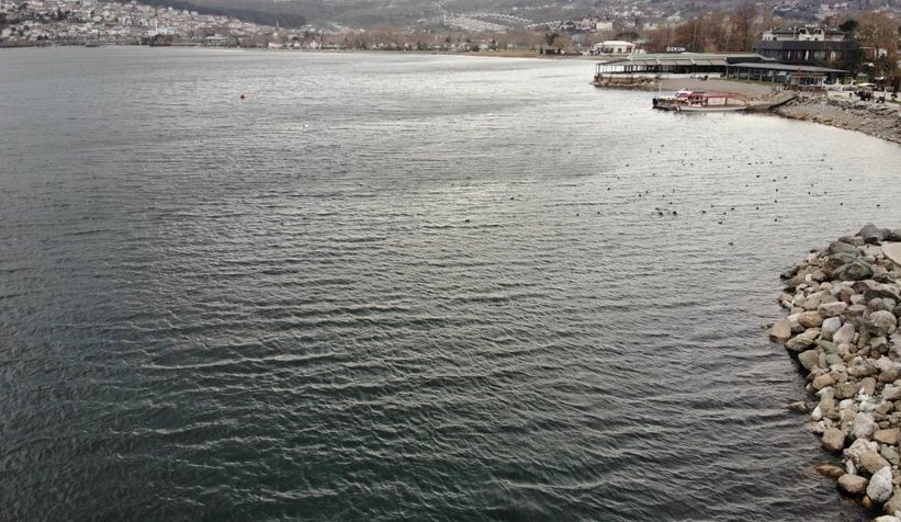 Sapanca Gölü'nden sevindirici haber