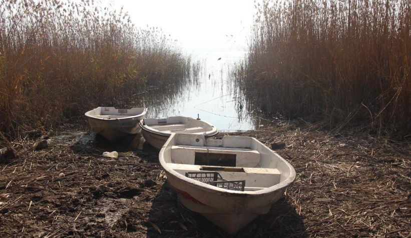 Sapanca Gölü'nün su seviyesi kritik eşiğin altına düştü