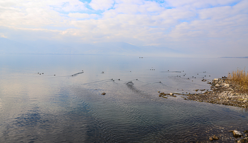sapanca-golu-nun-su-seviyesinde-son-durum-aciklandiblpvsyteu1