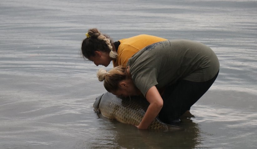 Sapanca Gölü’nde 23 kiloluk dev sazan yakaladı