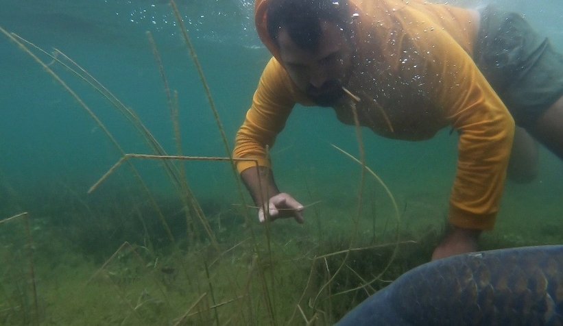 Sapanca Gölü’nde 23 kiloluk dev sazan yakaladı