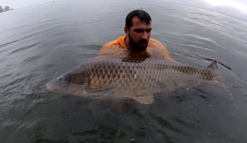 Sapanca Gölü’nde 23 kiloluk dev sazan yakaladı