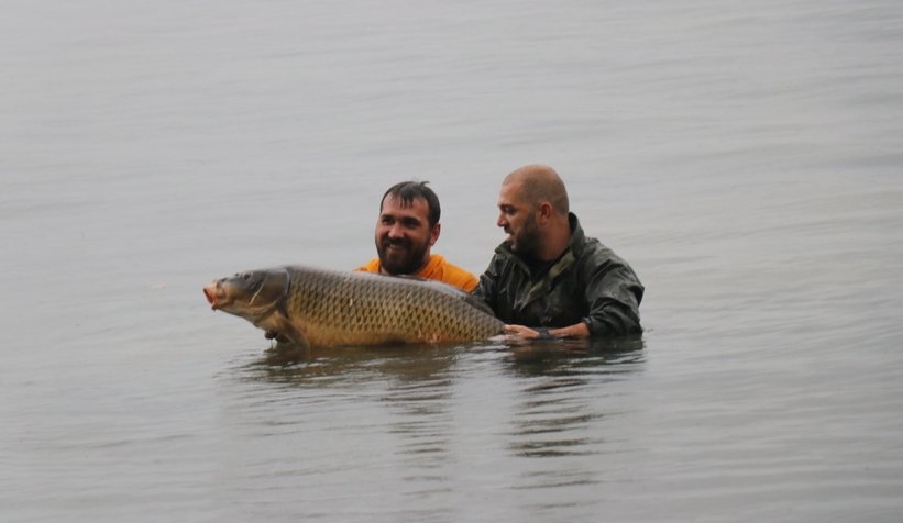 Sapanca Gölü’nde 23 kiloluk dev sazan yakaladı