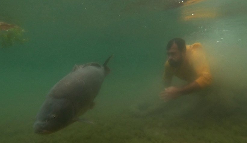 Sapanca Gölü’nde 23 kiloluk dev sazan yakaladı
