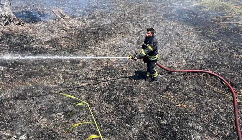 Sapanca Gölü’nde Sazlık Yangını Paniği!