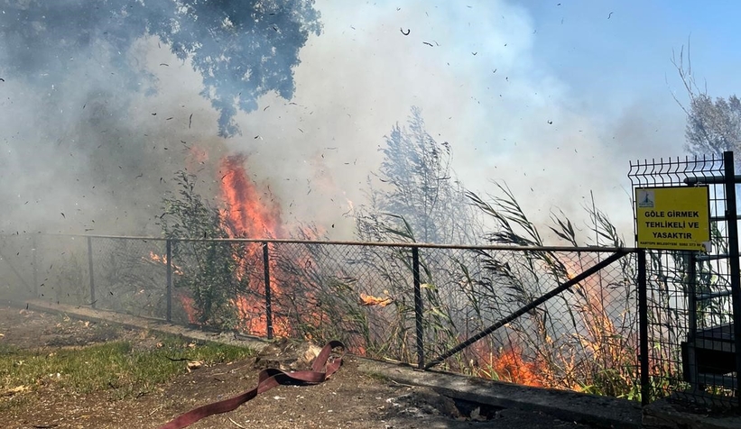 Sapanca Gölü’nde Sazlık Yangını Paniği!