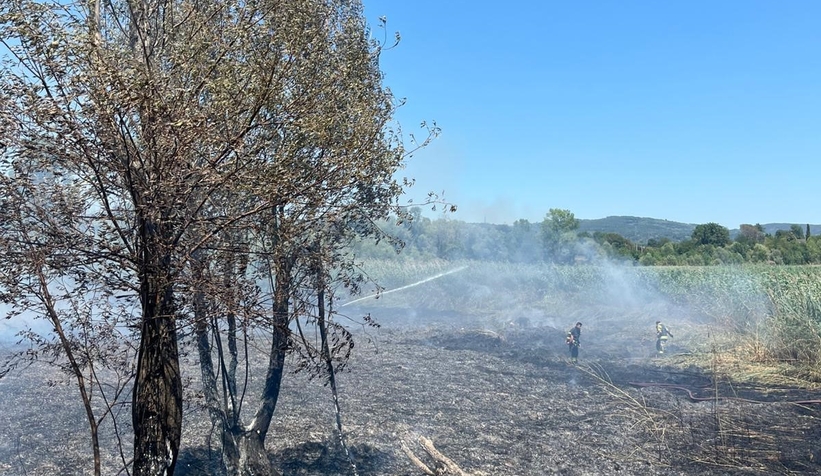Sapanca Gölü’nde Sazlık Yangını Paniği!