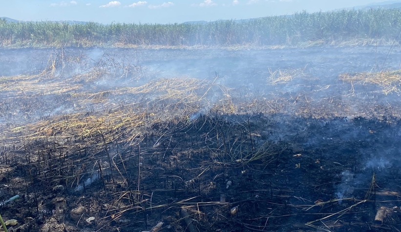 Sapanca Gölü’nde Sazlık Yangını Paniği!