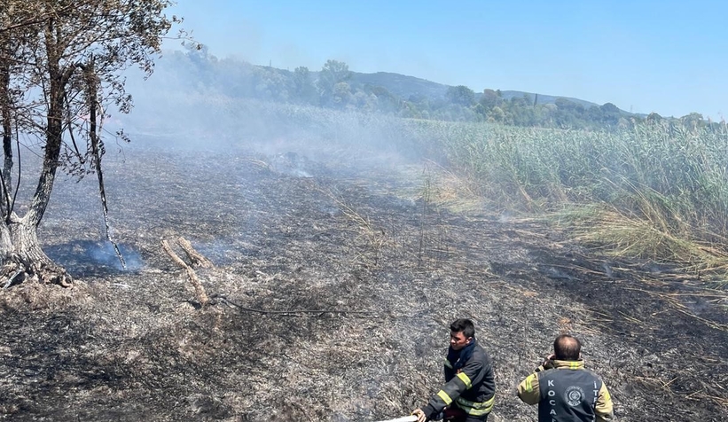 Sapanca Gölü’nde Sazlık Yangını Paniği!