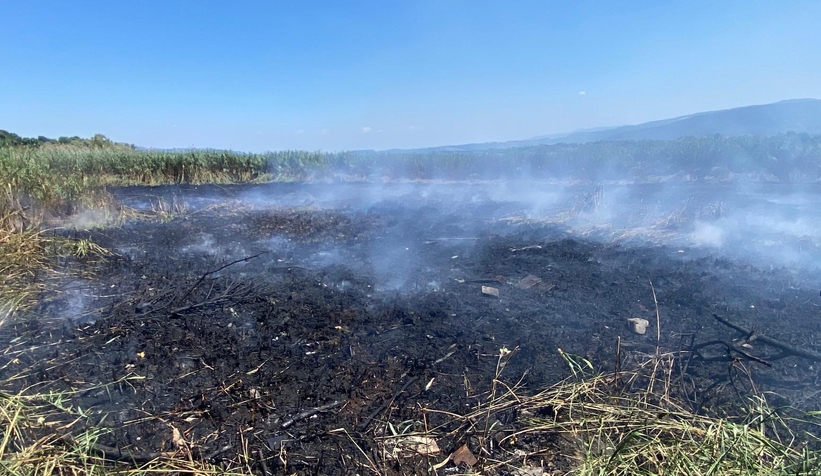 Sapanca Gölü’nde Sazlık Yangını Paniği!
