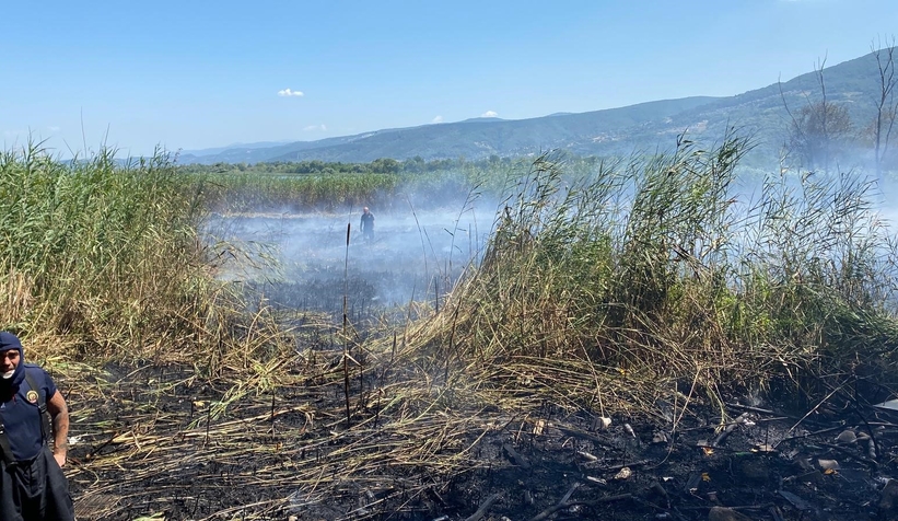 Sapanca Gölü’nde Sazlık Yangını Paniği!