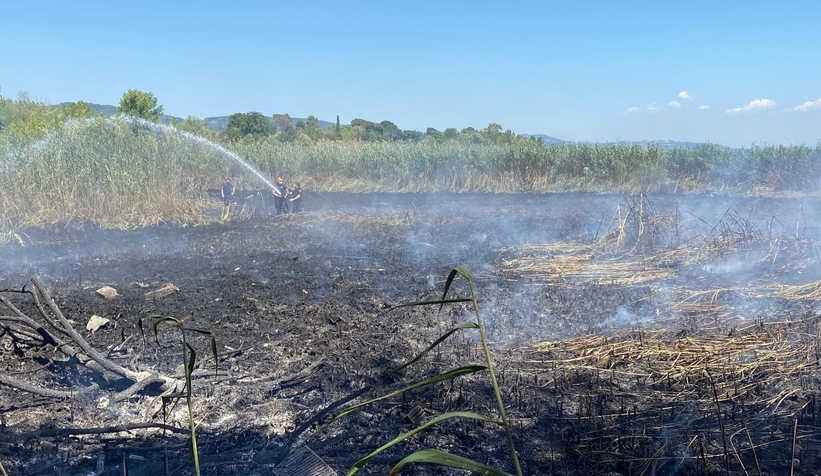Sapanca Gölü’nde Sazlık Yangını Paniği!