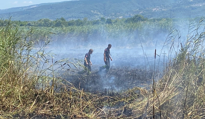 Sapanca Gölü’nde Sazlık Yangını Paniği!