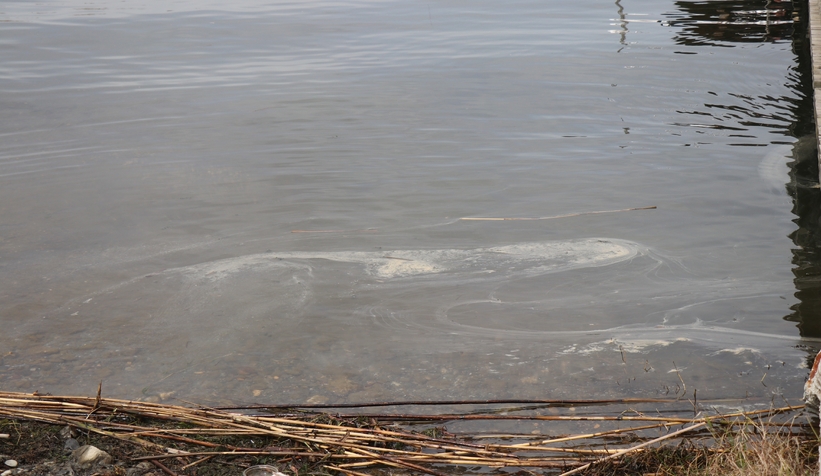 Sapanca Gölü’ndeki çevre felaketinde son durum