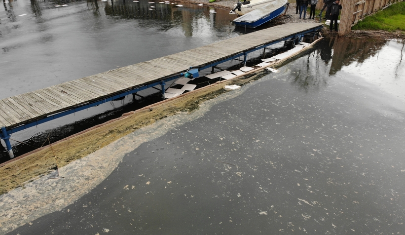 Sapanca Gölü’ndeki çevre felaketinde son durum