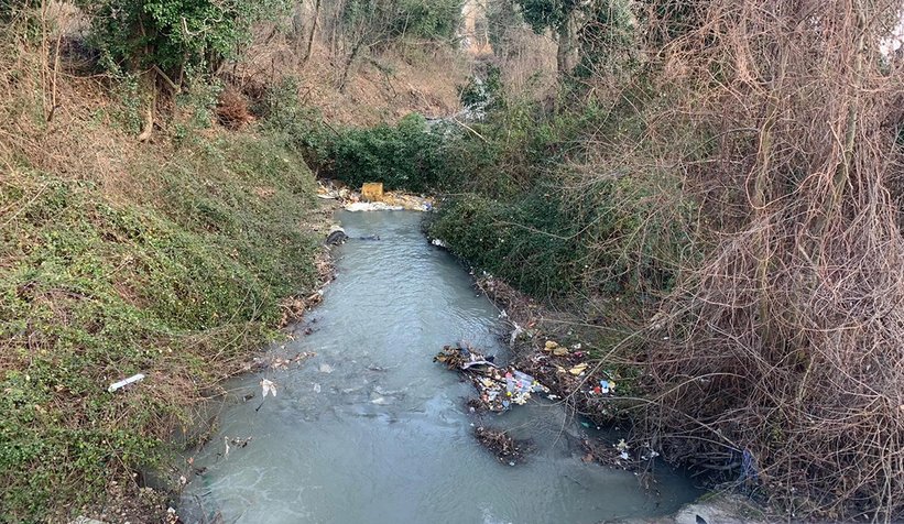 Sapanca’yı besleyen dereler temiz akıyor