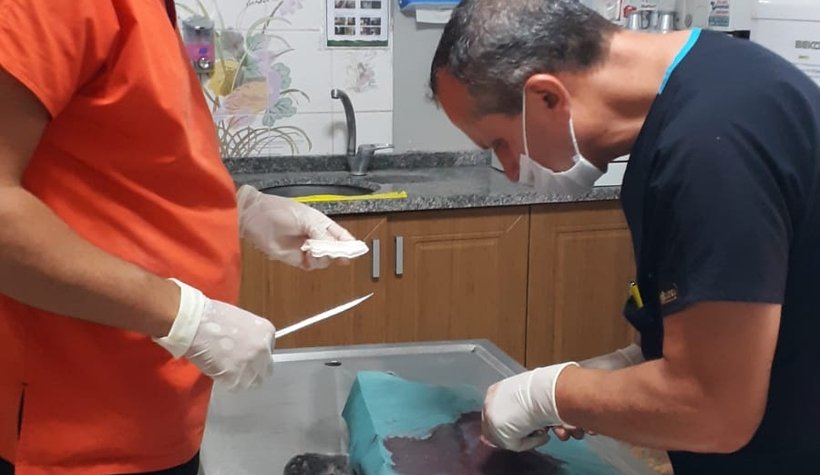 Sasha'nın midesinden iğne çıkarıldı