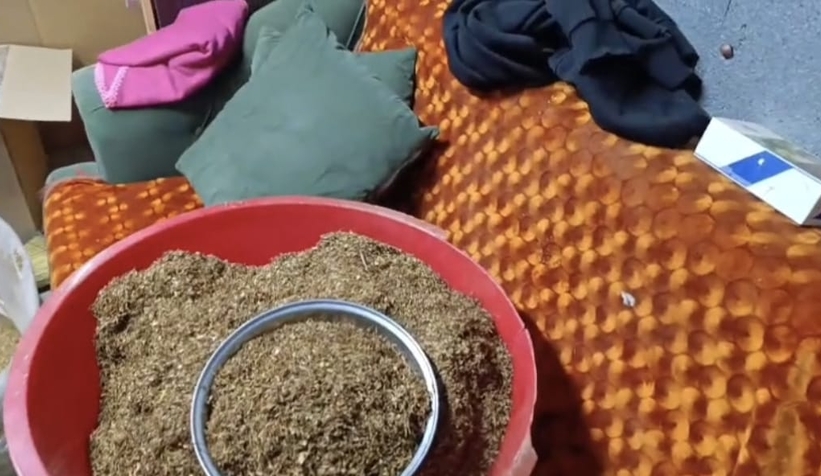 Saskarya'da kaçak tütün operasyonu